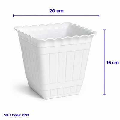 POT 30 SEGI AMANDA PUTIH WS