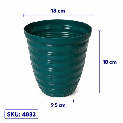 POT 20 GOLDEN VALENCIA HIJAU LUMUT